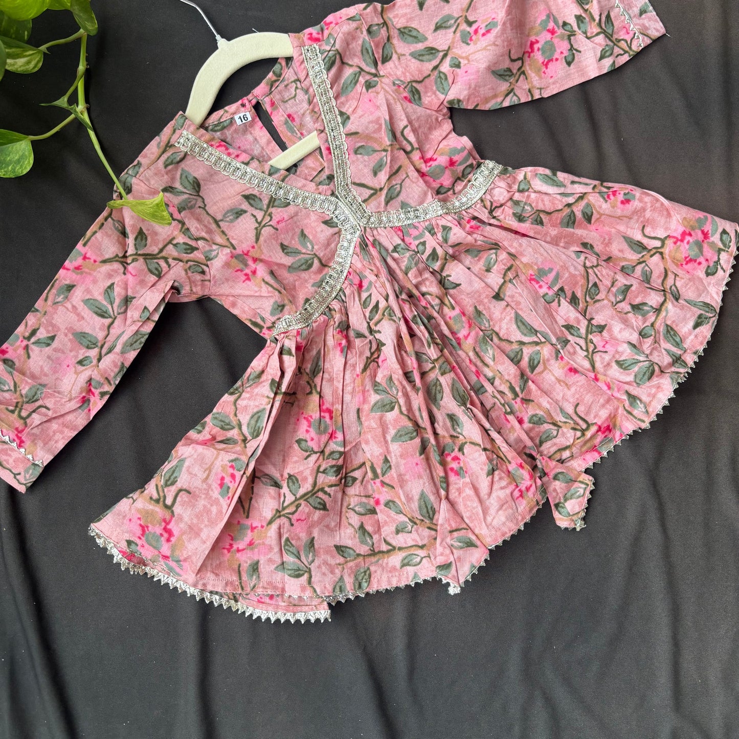 Blush Bagh V neck Sharara Set
