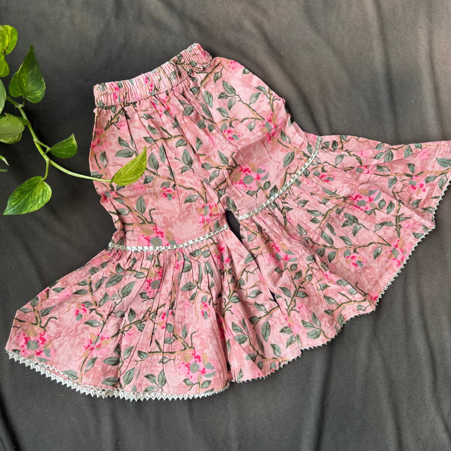 Blush Bagh V neck Sharara Set