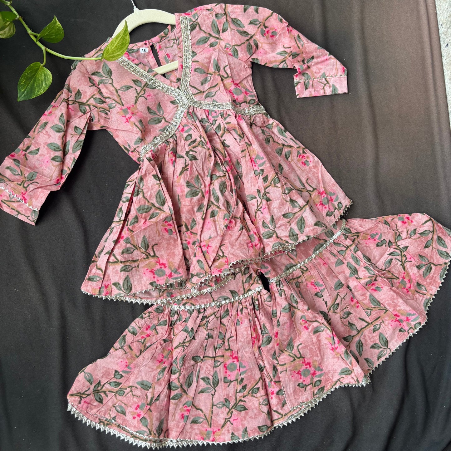 Blush Bagh V neck Sharara Set
