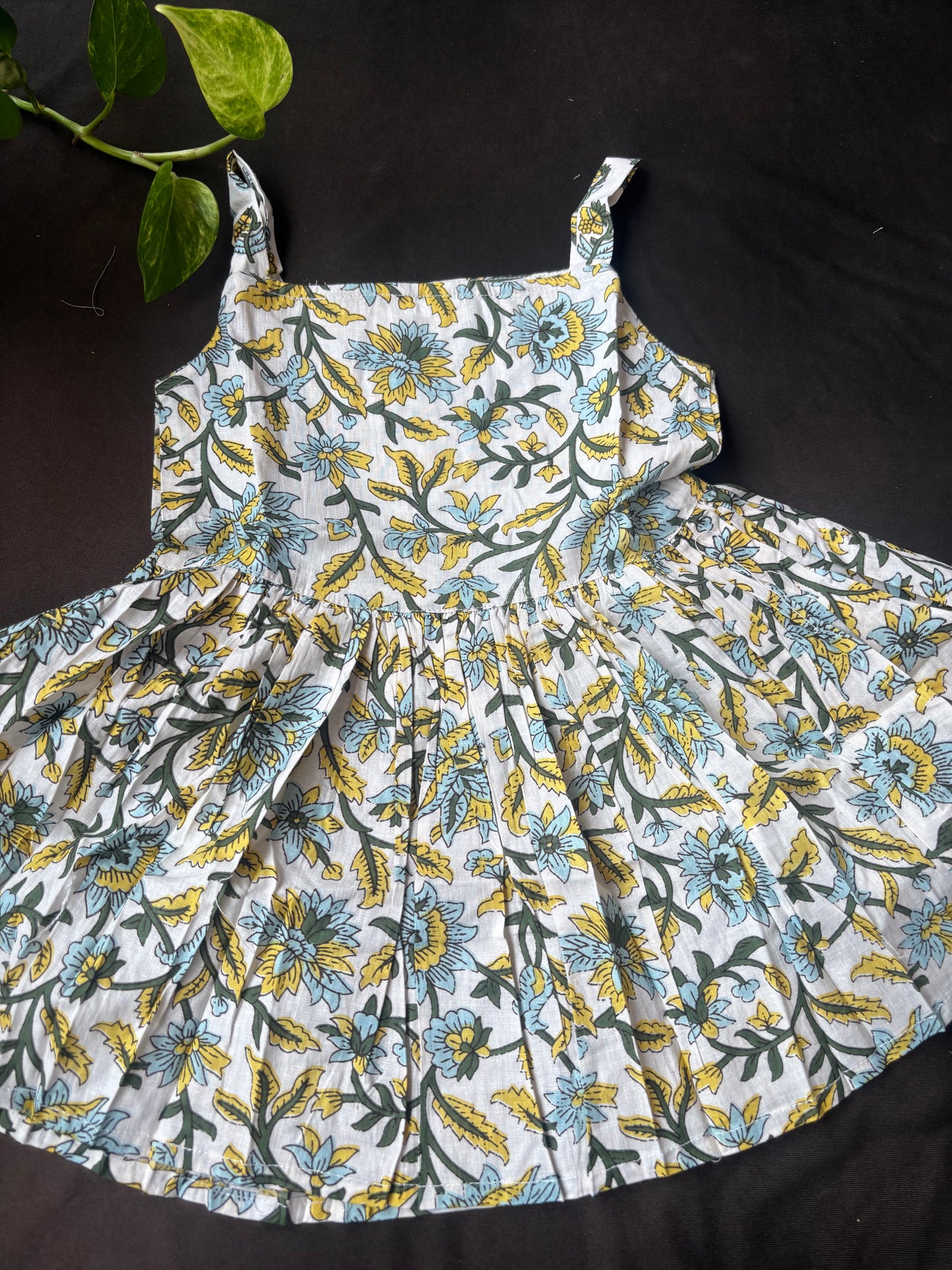 Sky Garden Frock