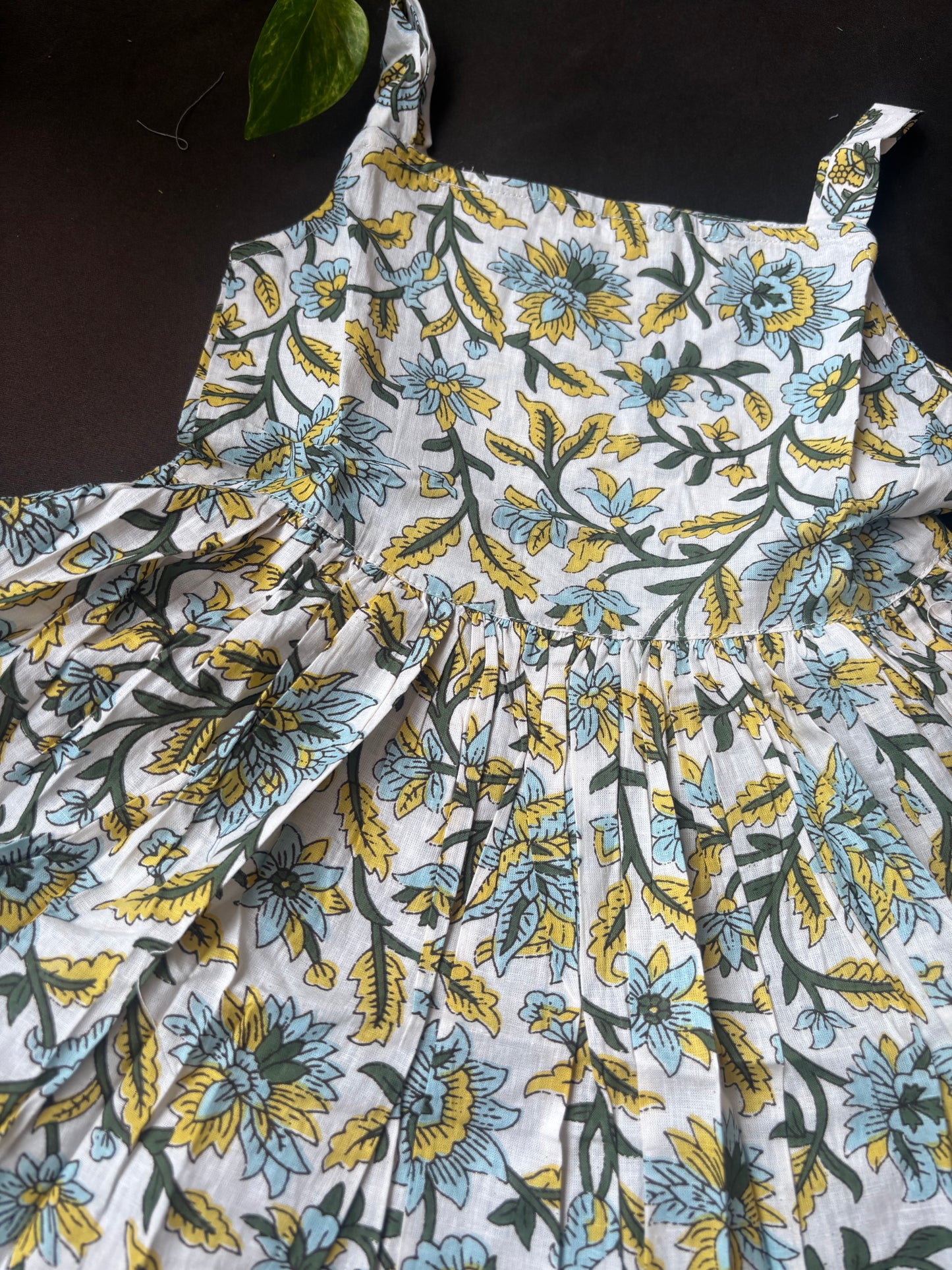 Sky Garden Frock